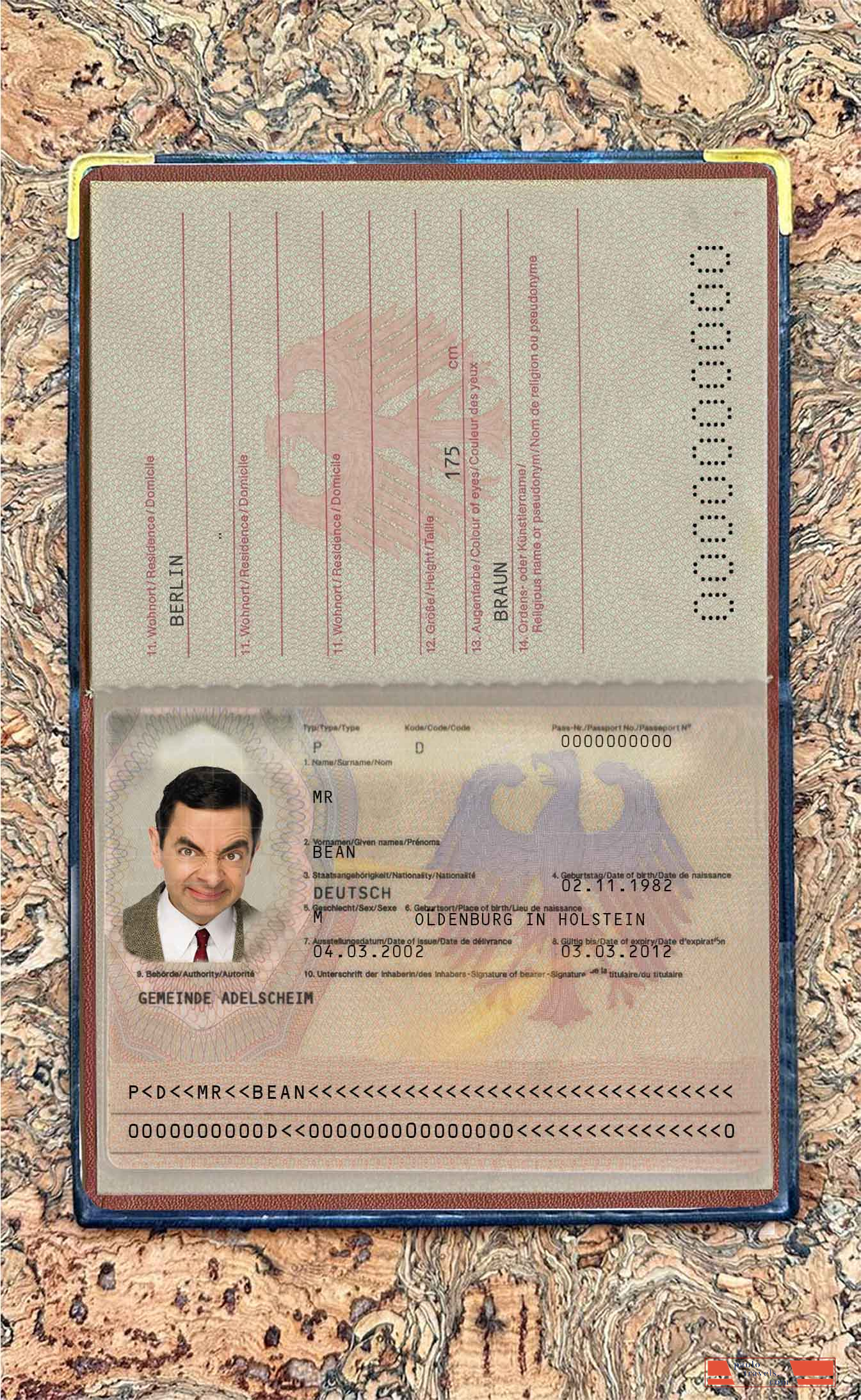 Germany passport (2005 2017) photo look PSD template